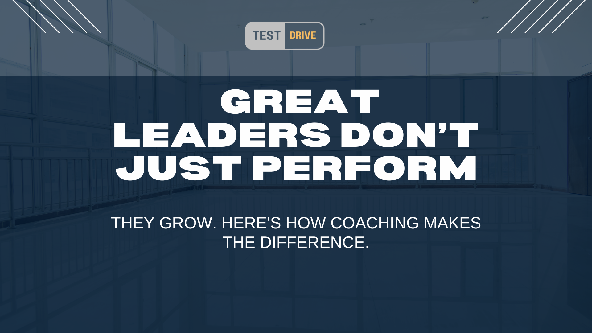 The Role of Executive Coaching in Business Growth